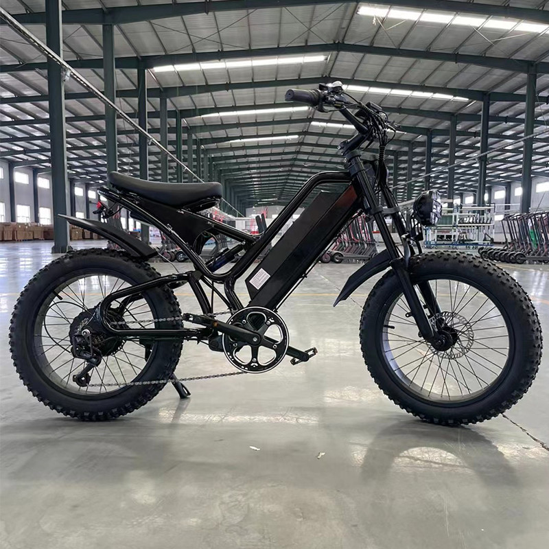 2024 Electric Bicycle with Aluminum Alloy Frame and Long-Lasting Lithium Battery