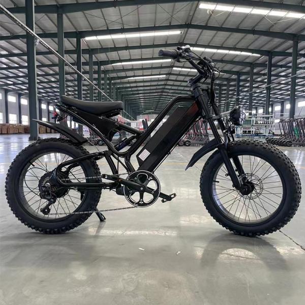 26 27.5'' 29'' 2024 750w 48v Fast Speed 60km/H Electric City Fat Tire Hybrid Bicycle Ebike Electric Mountain Dirt E Bike for Adults