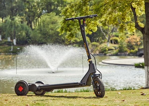 Smart Front Wheel 15.6 Inch ARD 3 Wheel E Scooter