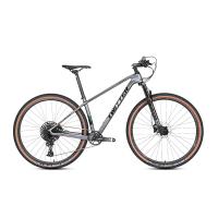 Bicicleta T900 29er Warriorpro de Montain da fibra do carbono através do freio de disco MTB do eixo 12*148mm