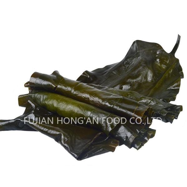 Umami riche en germes de algues vertes, algues de mer de Kombu pour les salades Soupes Aliments asiatiques