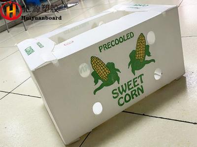 Eco Friendly Corrugated Plastic Packaging Boxes , Recyclable Corflute Storage Boxes