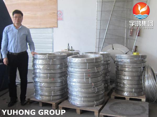 Heat-exchanger/Boiler tube Pickled / Bright Annealed Surface Stainless Steel Seamless Tube  ASME SA213 TP316/316L