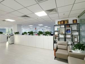 Hong Kong Starsurge Group Co., Limited