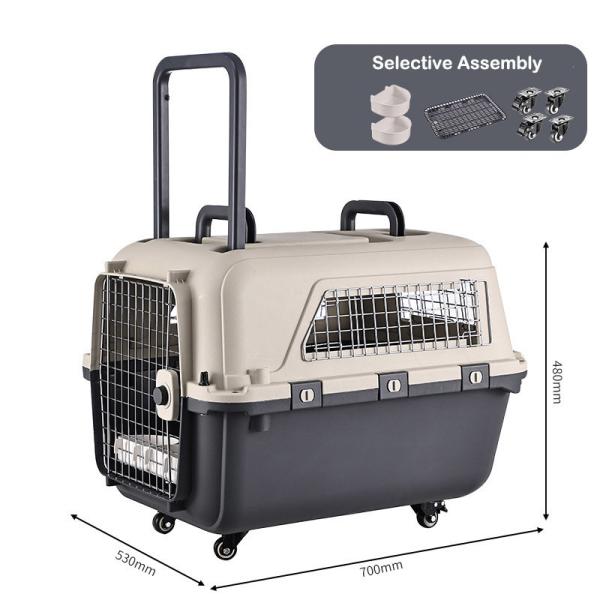Pet Air Transport Box for Small Dogs and Cats Sustainable Hard Surface Travel Carrier