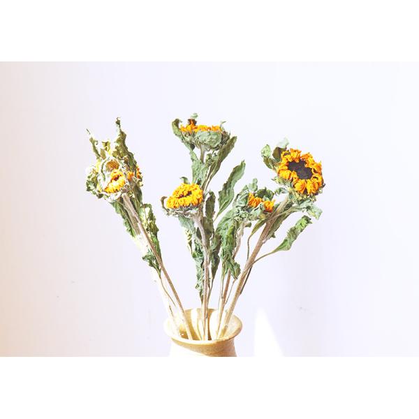 golden yellow 50cm Air Drying Sunflower Room Decor Bunches