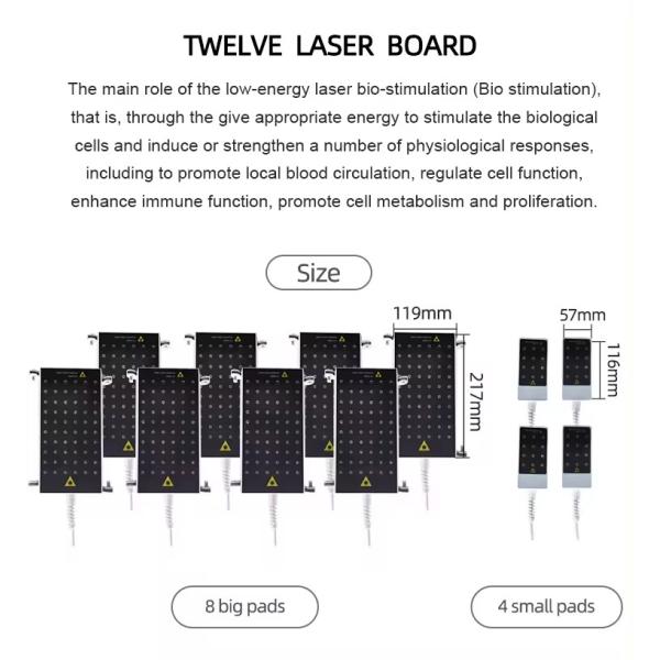 12 Pads 635nm 650nm Lipo Laser 100mW~350mW Fat Removal Fast Slimming Machine