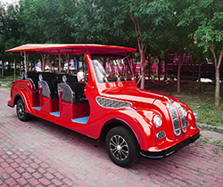 Standing Postion of Tail Caddie Equipped GCC Off Road Golf Cart Eec Gtv DOT Golfcart