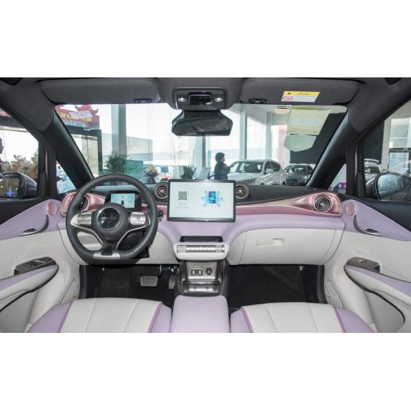 Berline électrique 5 portes 5 places BYD Dolphin 2021 401km Knight Edition