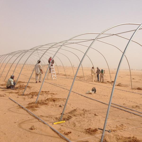 Горячий климат Растение томатов Теплица 150 микронов Пластиковая пленка