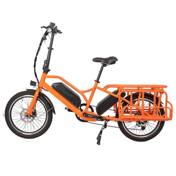 Family Delivery E-cargo Two Battery Max Loading Family E Bicycle Electric Bike With Basket