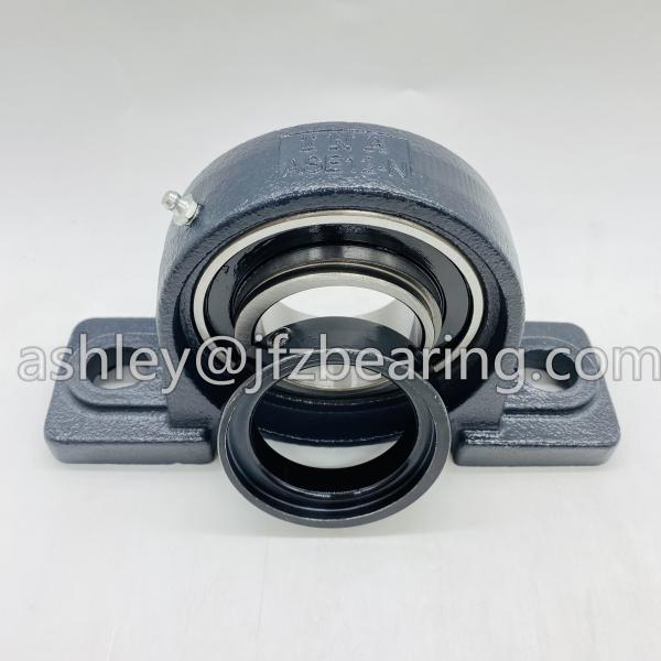 INA (Schaeffler) PASE60-XL Pillow Block Ball Bearing Unit - Two-Bolt Base, 60 mm Bore, Cast Iron Material,Standard Duty,