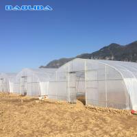 L'immersion chaude de la structure la plus simple a galvanisé la serre chaude en plastique de tunnel en acier de 4m pour l'élevage d'usines