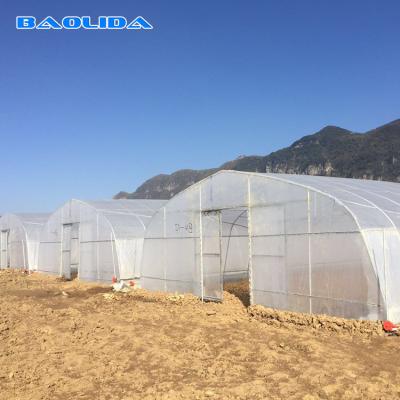 200 Micron PE Film Galvanized Tunnel Plastic Greenhouse For Growing