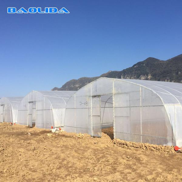 200 Micron PE Film Galvanized Tunnel Plastic Greenhouse For Growing