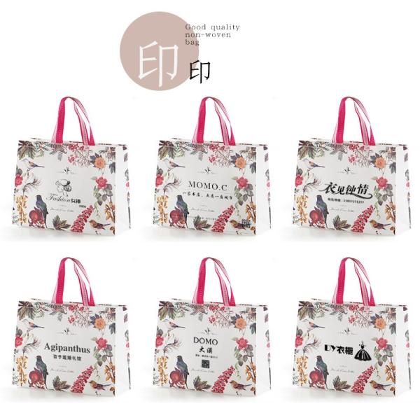 Fashion Logo Printed Laminated Non Woven Carry Bags , Non Woven Shopping Bag