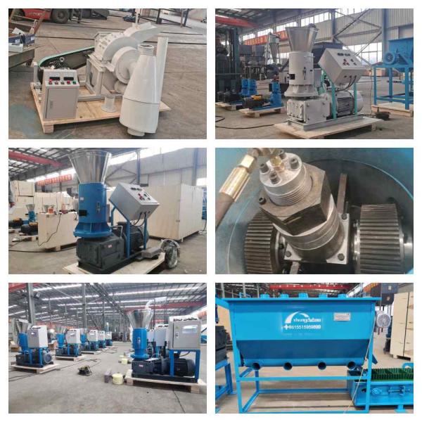 завод мельницы лепешки биомассы деревянного создателя лепешки 250~800kg/H промышленный