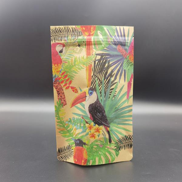 Customization Compostable Coffee Pouches CTP Printing Biodegradable Zip Lock Pouches
