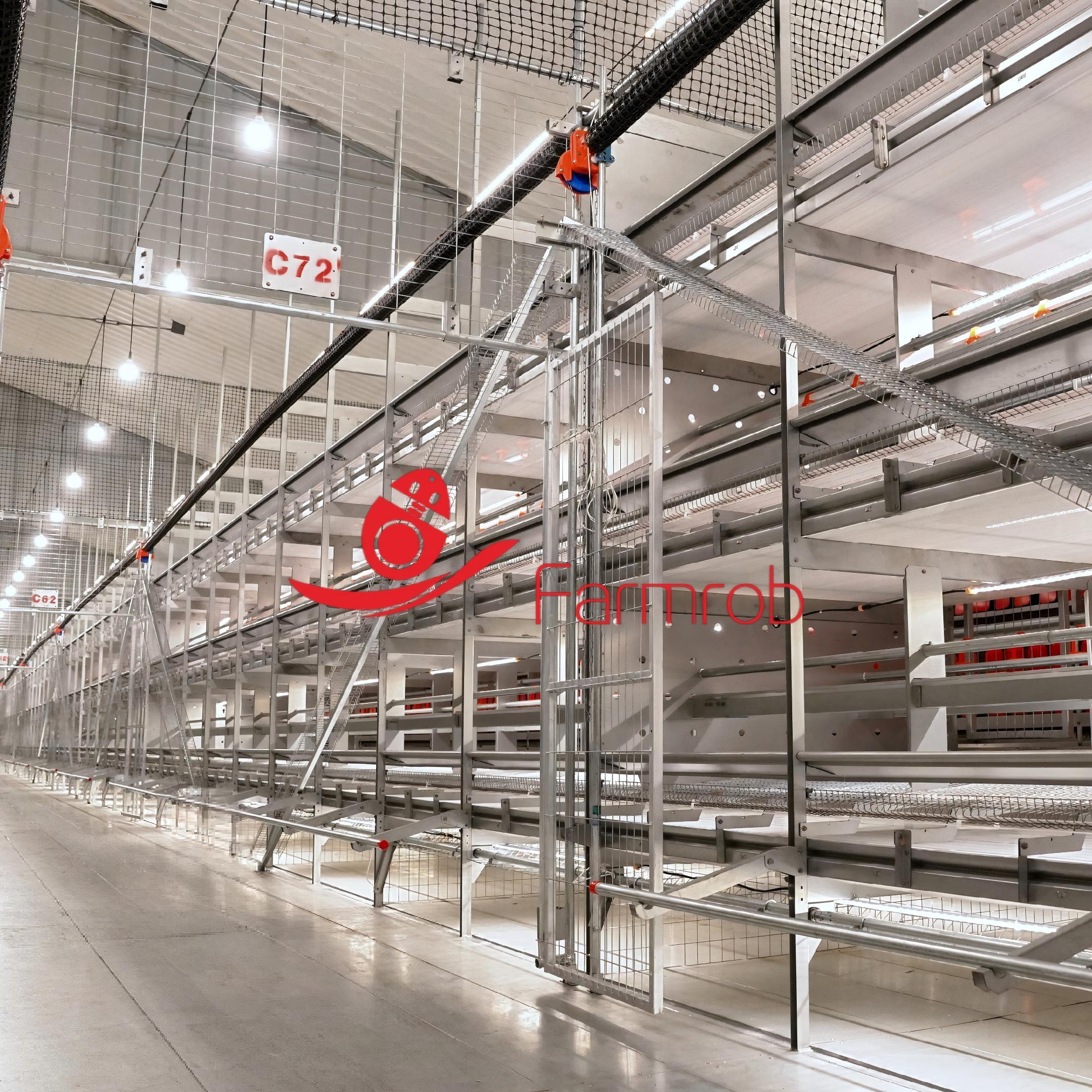 30000 Birds Cage Free System with Advanced Ventilation And Good Feeding