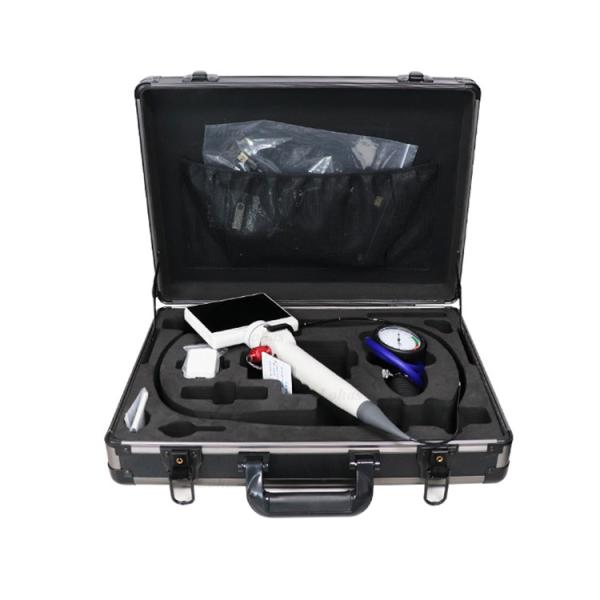 2.8mm 3.8mm Digital Endoscope Camera Video Digital Electronic Flexible