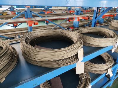 K-Type MI Cable (1.5mm, 3mm, 6mm) Mineral Insulated Thermocouple Wire at Competitive Prices