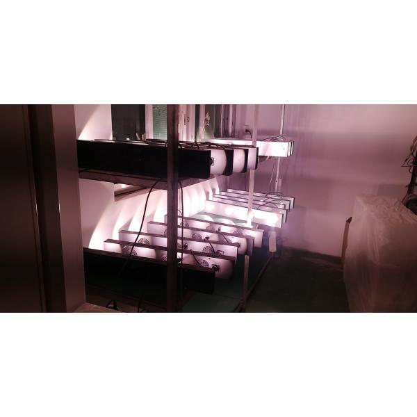 RikoLite 0.2KW Plant Led Grow Lights 200w Indoor Cannabis UV Ultraviolet