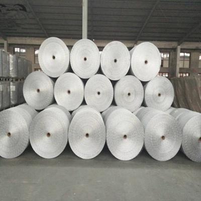 PVC Coated Hexagonal Wire Fence Chicken Net for for Chicken Coop