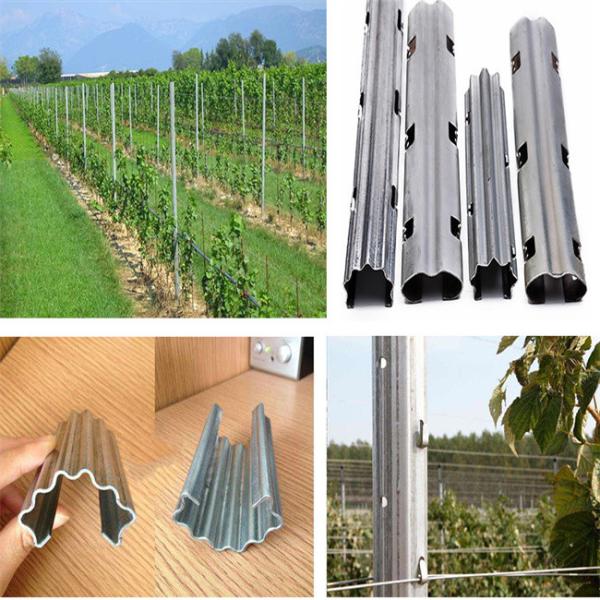 8 Tons Vineyard Post Roll Forming Machine Cr12 PLC Control System