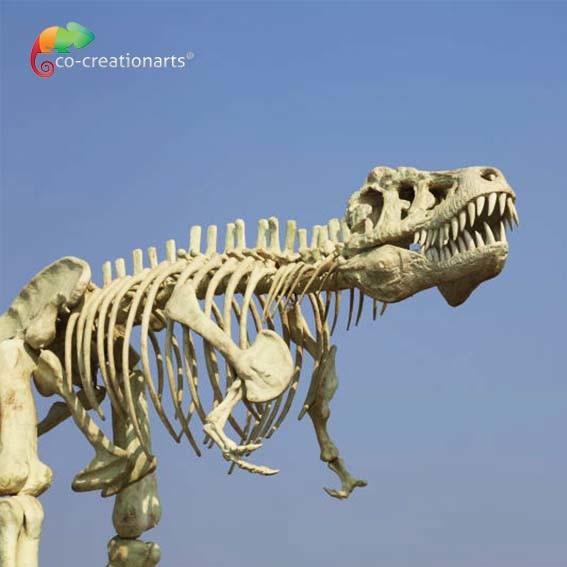 impermeabilizante das réplicas T Rex Skull do dinossauro da qualidade do museu do comprimento 15m