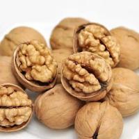 Bonne qualité Chine Grande taille 32mm+/34mm+ haut mince Noix de cajou crue en gros Arachide crue dans une coquille Lait en poudre 25kg cru séché