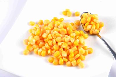 O tipo cozinhado núcleo inteiro do milho/enlatou o milho doce do núcleo nenhumas cores artificiais