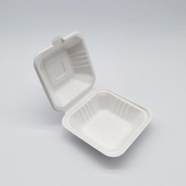 6 Inch Biodegradable Take Out Containers , White Biodegradable Clamshell Packaging