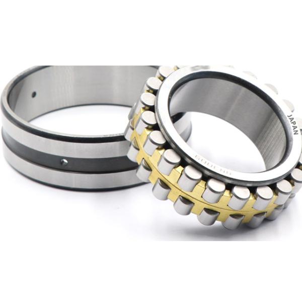 FC4462192 Rolling Mill Four Row Cylindrical Roller Bearing 313839 507333