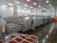 300kg/Hour Mesh Belt Tunnel Freezer ultrabajo 400kg/H 25Kw para el OEM del pollo