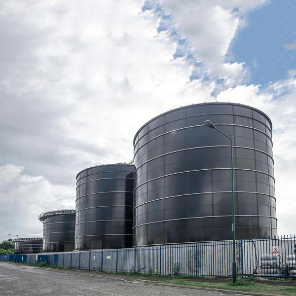 Domestic Biogas Anaerobic Tank Wastewater Treatment Bio Gas Plant Project