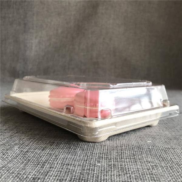 使い捨て食品容器 バガス製パン包装箱 PET蓋付き
