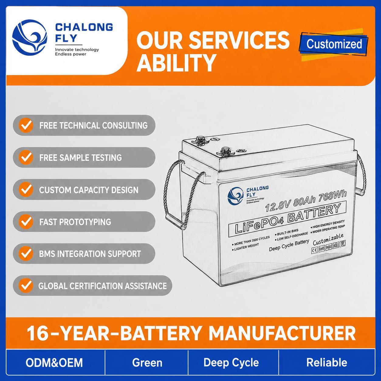 Custom 12.8V 200Ah LiFePO4 Battery Pack with BMS for Portable Power and Solar Storage