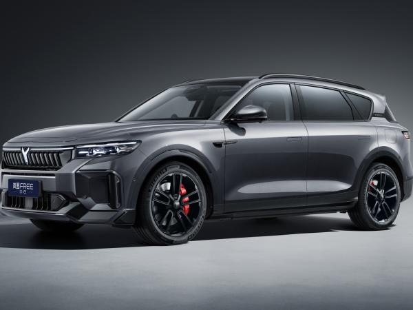 2025 Dongfeng EV Car Voyah FREE 318 RR Tour Version 5 Door 5 Seater SUV 1458km
