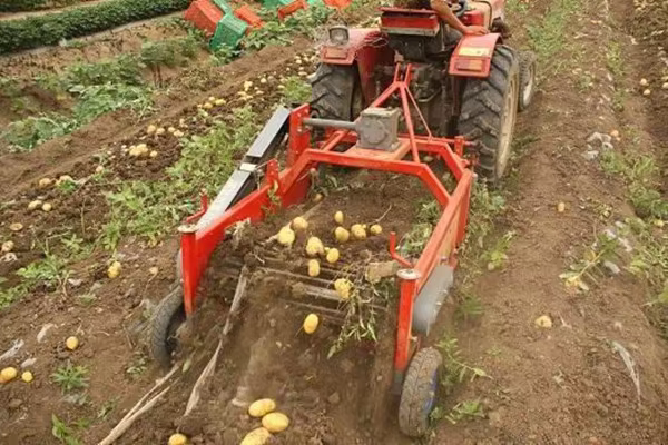 Farm Tractor Pto Mounted Small Sweet Potato Harvester