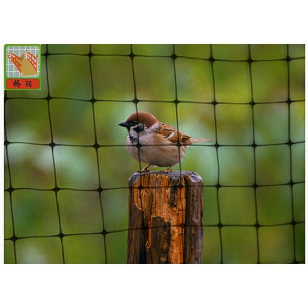Heavy Duty Plastic Vegetable Garden Mesh Netting , PP Black Anti Bird Netting