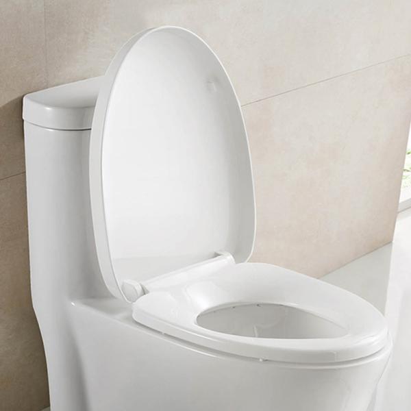Пол - установил вытянутые туалеты Bathroom с чистыми линиями и низкопрофильным