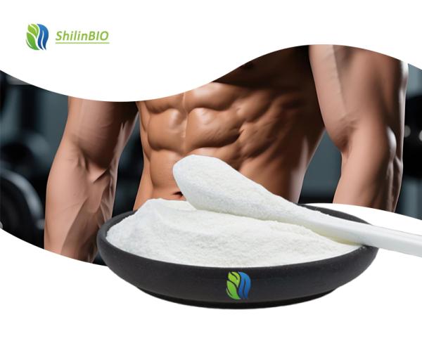 Leucine Bulk Powder
