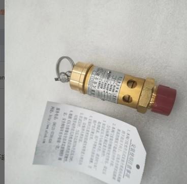DN15 Metal Air Compressor Safety Valve Model 39588017