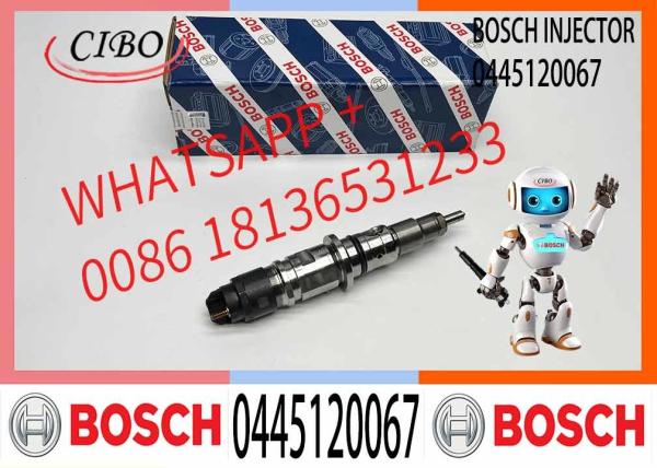 Hot Sale Manufacture Engine Diesel Fuel Injector 0445120067 For Deutz D6E EC210 EC200 Excavator Engine