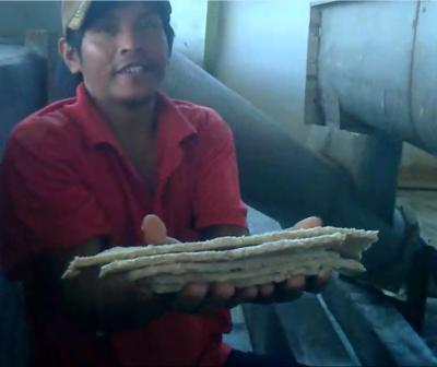 Cerque a máquina de processamento da farinha da mandioca da imprensa/a fábrica de tratamento farinha da mandioca