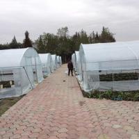 4 Mil Tunnel Plastic Greenhouse Cover Reinforced Clear Poly Sheeting