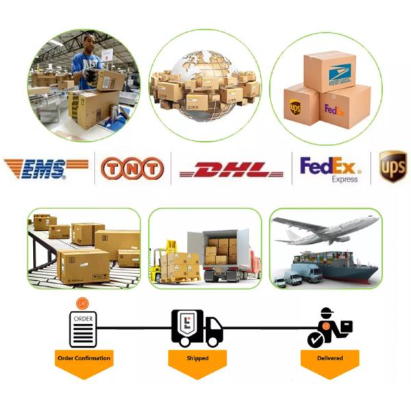 Магнитный клапан Wg9100710008 для тяжелых грузовиков HOWO Shacman Стандартная поддержка в долларах США