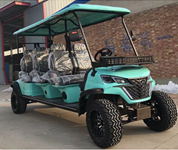 Equipped Standing Position of Tail Caddie Custom Electric Golf Car for Discount Sales