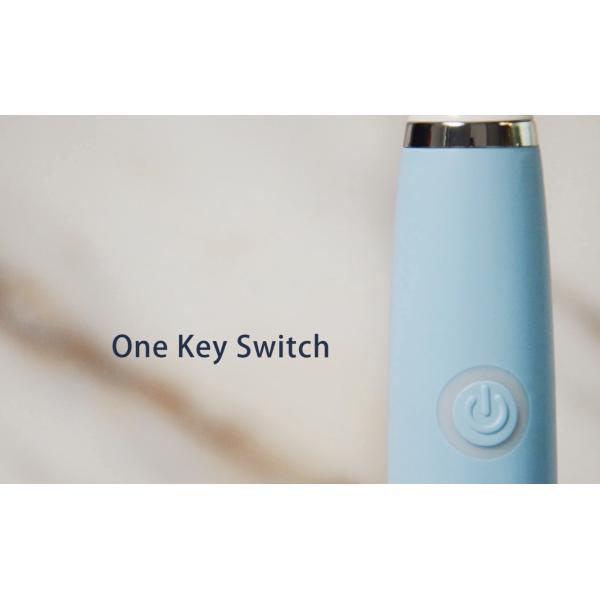 Wholease Long Lasts Rechargeable IPX7 Waterproof Smart Reminder Electric Toothbrush With 4 Brush Head