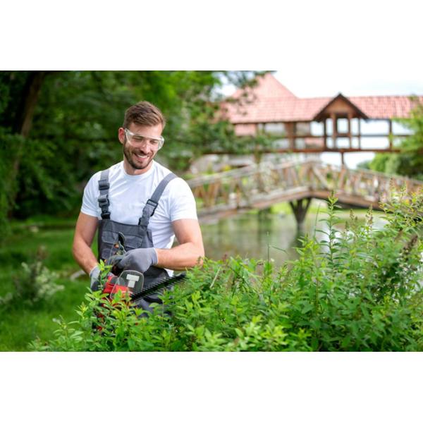 Литий батарейный электрический хребет триммер двойные лезвия перезаряжаемые для домашнего двора